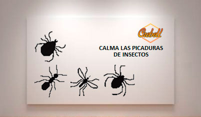 S3-B-Calama-las-Picaduras-de-Insectos